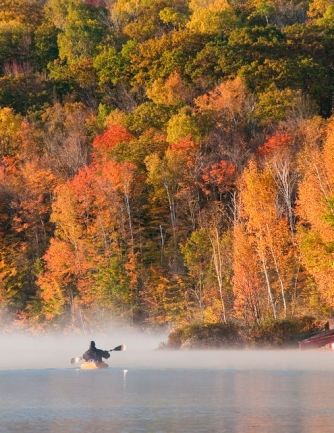 Gorgeous Fall Foliage